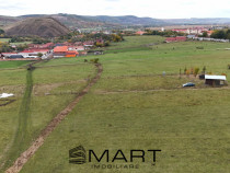 Teren extravilan 2200 mp in Orlat