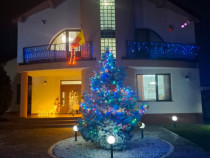 Casa, zona arcasilor Galati