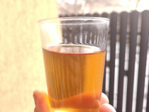 Vin alb Nohan/tuică