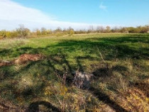 Teren Ungheni, ID: R2832820