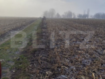 Teren 7200 mp extravilan, Miroslava-Vorovesti, langa zona d