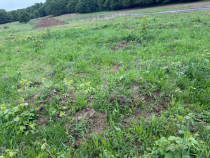 Teren de vanzare, zona linistita