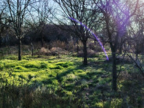 Teren Intravilan 1312mp + casuta si anexe Movila Banului, Buzau