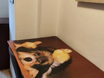 Berceni brancoveanu luica bloc nou