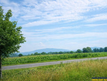 Lot pentru casa, 800 mp intravilan, Bod, 15 min Brasov