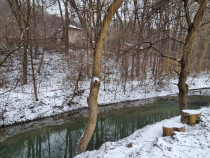 Hemeius- Teren cu deschidere la pădure și lac. Cu salcie l