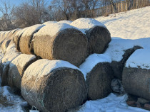 Baloti de paie, rotunzi