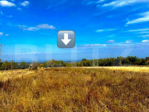 Teren extravilan 4265 mp, in Dangaul Mare - EXCLUSIVITATE