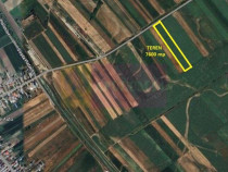 Cosoba, teren 7600 mp intravilan pe str Guliei