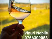 Vin din Vita Nobila - Sauvignon Blanc