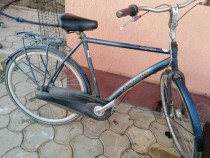 Bicicleta gazele