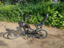 Unemployed lack orientation Bicicleta cu motor • Lajumate.ro