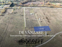 Teren 1300mp, curent trifazic Valea Avrigului