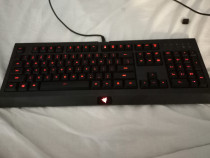 Tastatura Gaming RGB Razer Cynosa Lite