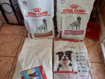 Royal Canin Veterinary,APLAZYL,K9 Complete Motion,Frontline