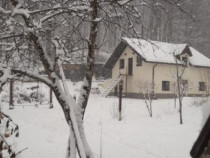 Cabana 4 camere zona Valea Avrigului