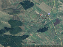 Cluj - Berchiesu frata - fond forestier padure -145 ha