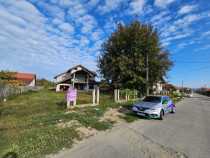 Casă construcție nouă, situată &icirc;n Peștișani