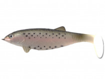 HUGE SHAD COLMIC 15cm 58gr TROUT