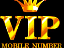 Numar telefon numere identice gold vip special lux bonus