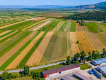 Teren insorit in Teliu, 7000mp, cu front la strada!