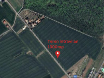 Teren intravilan 1300mp Ilfov Ciolpani - Izvorani