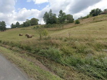 Teren intravilan Rosia, 12 000 mp, cu proiect aprobat. Co...