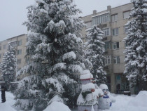 Craciun 2024 si Revelion 2025 in Bucovina