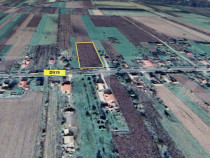 Teren intravilan de vanzare ,5800mp, zona Ciuperceni