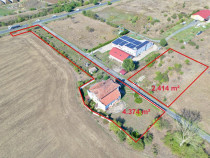 De v&acirc;nzare pensiunea "Casa Albă" Pecica/Arad.