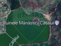 Teren la lac 2 loturi Calarasi, Cascioarele