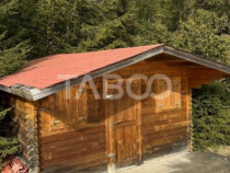 Teren cu puz intravilan in localitatea Paltinis din judetul