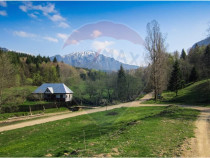 Teren 6000 mp, Vama Buzaului - vedere către Ciucaș