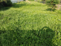 Loturi teren -Mihailesti Giurgiu-Pozitie centrala