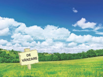 Vanzare teren 10.000mp Cornetu- Mihailesti