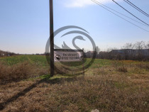 Teren de vanzare/inchiriere | 7800mp | Parcul Industrial ...