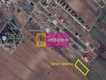 Săbăreni, teren intravilan 1000 mp