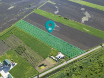 Livadă de nuci și pruni 2.4ha în Variașul Mare