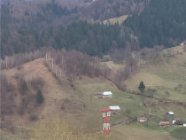 Teren, Zona de Interes Turistic-Cheile Gradistei, 8800mp