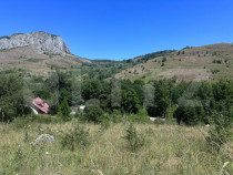 Teren extravilan,6000 mp,Valisoara