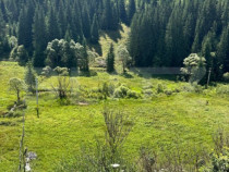 Teren intravilan de vanzare, 6941 mp, zona Mestecăniș