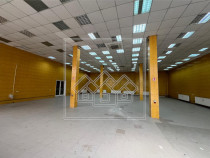 Spatiu industrial si de birouri in zona Terezian - finisaje