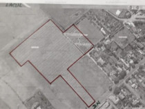 La sosea Teren 27500mp intravilan Lacu Sarat