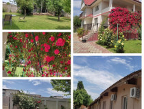 Vila 546 mp, teren 2000 mp si spatii de afacere, Magurele, Ilfov