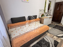 3 camere de camin renovate, mobilate si utilate, zona Dam...
