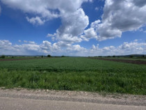 Teren extravilan, 1 hectar, Volovat