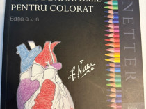 Netter – Atlas de anatomie pentru colorat, ediția a 2-a