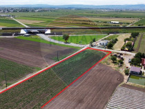 Teren intravilan/extravilan Jorasti / Strada Forturi ( pr...