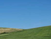 Cota de 1/2 din teren extravilan, comuna Rogova, Jud Mehe...