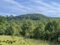 Teren Premium 1559 mp, Brebu Manastirei &ndash; Refugiu Montan l